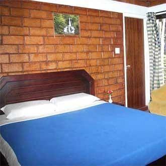 Forest Haven Hotel