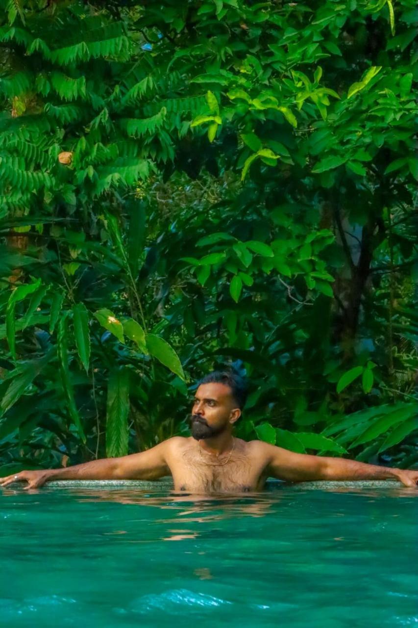 Beyond Eco Living Homestay Munnar