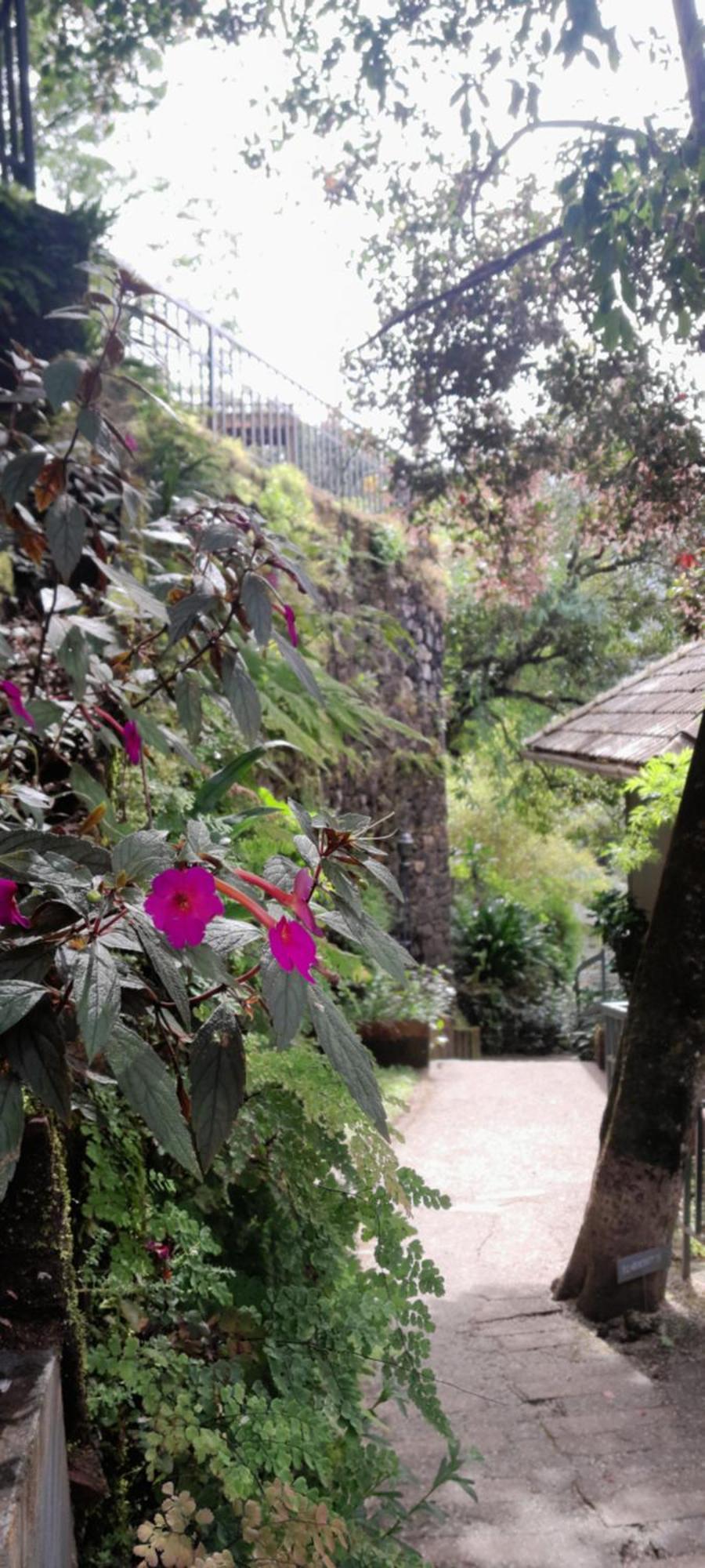 Resort Blackberry Hills Nature & Munnar