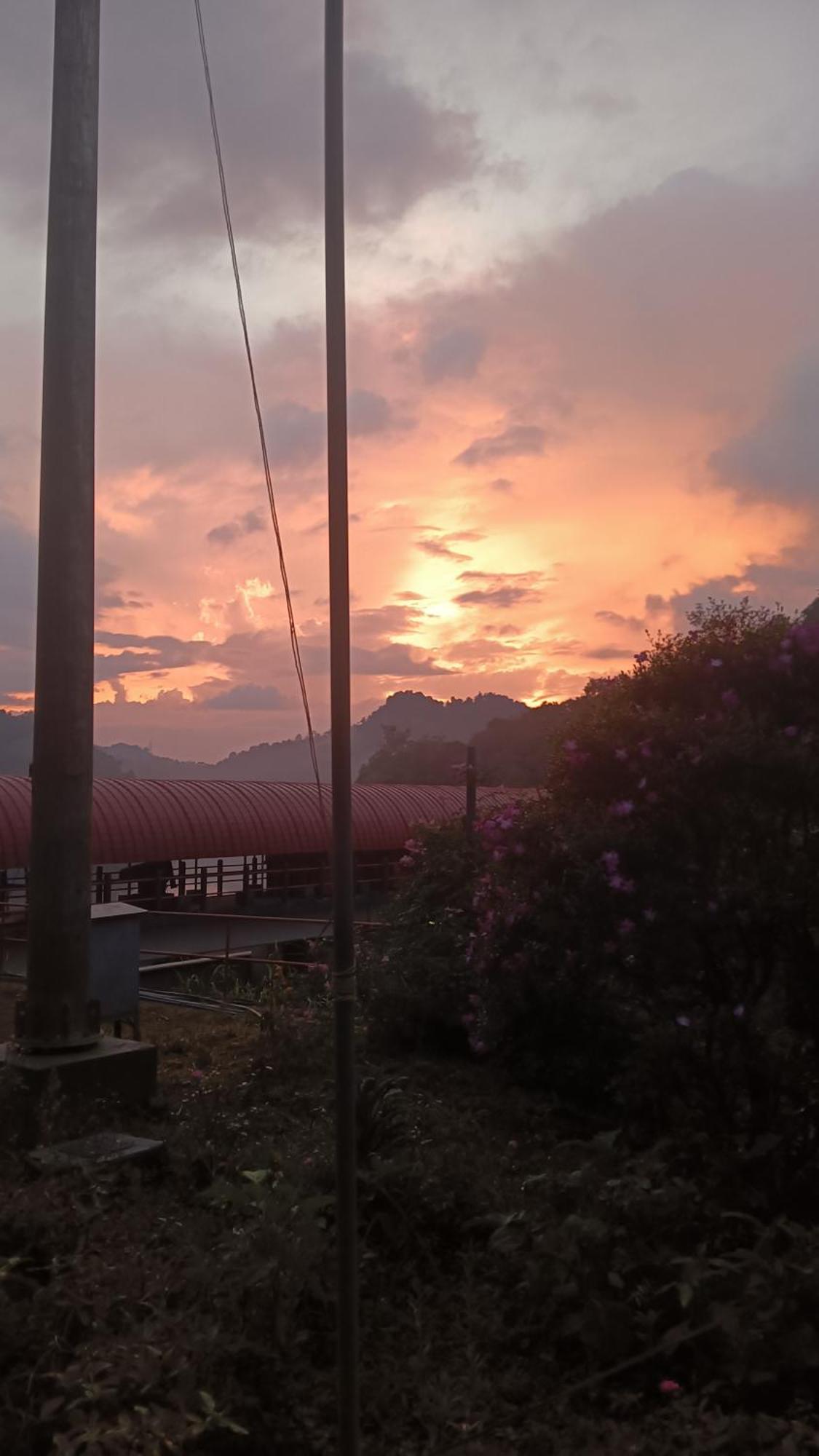 Mount Mist * Munnar
