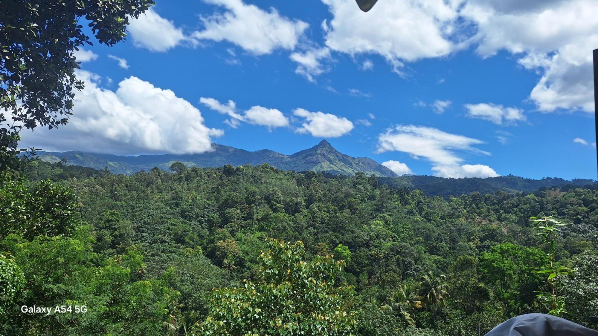 Winterhome Homestay Munnar