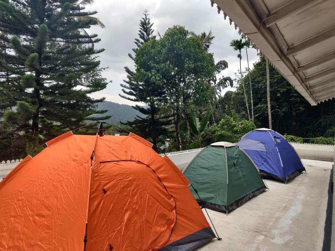 Lodge M3 Homes