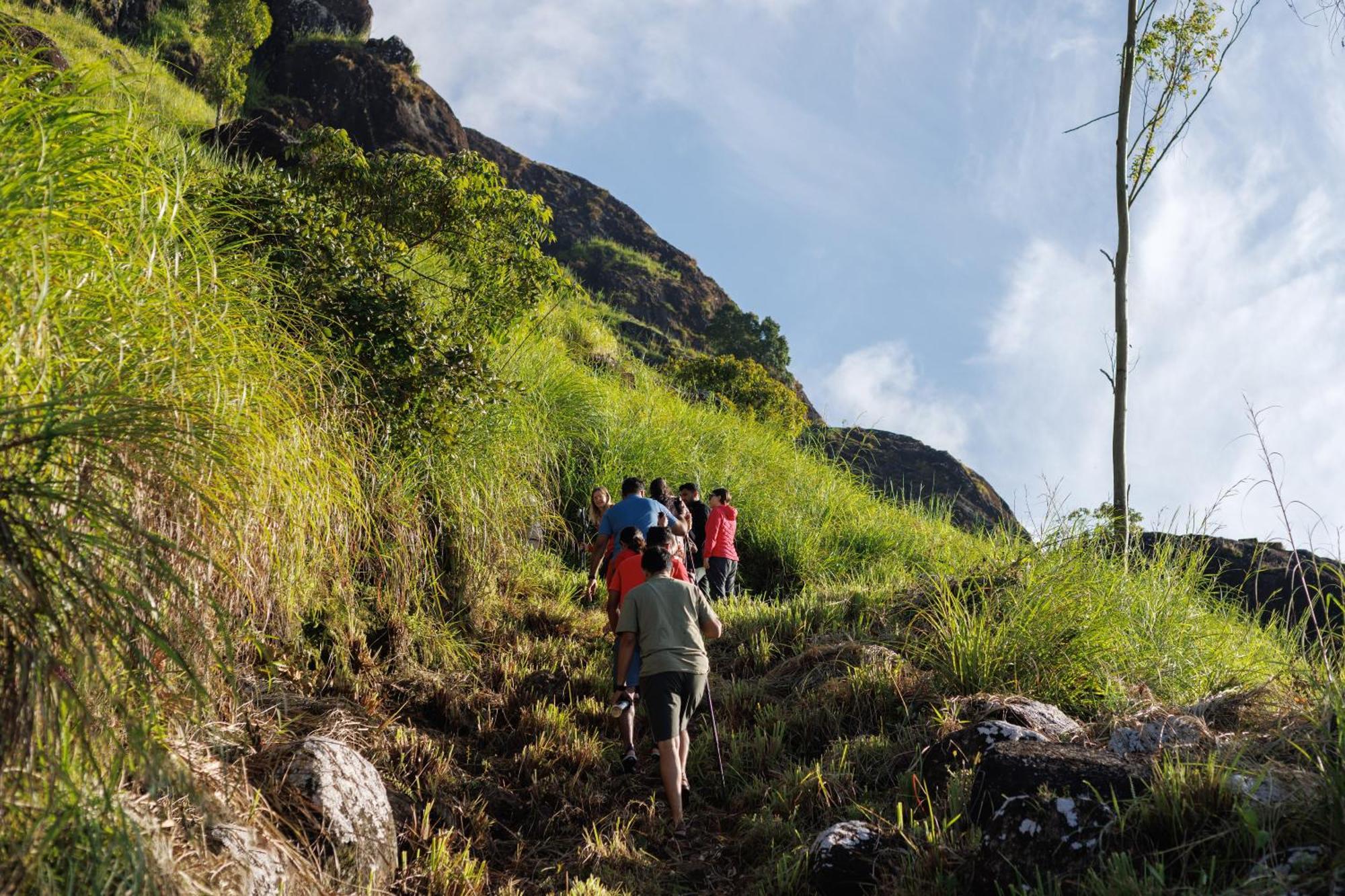 Amber Dale Luxury Hotel & Spa, Munnar Munnar
