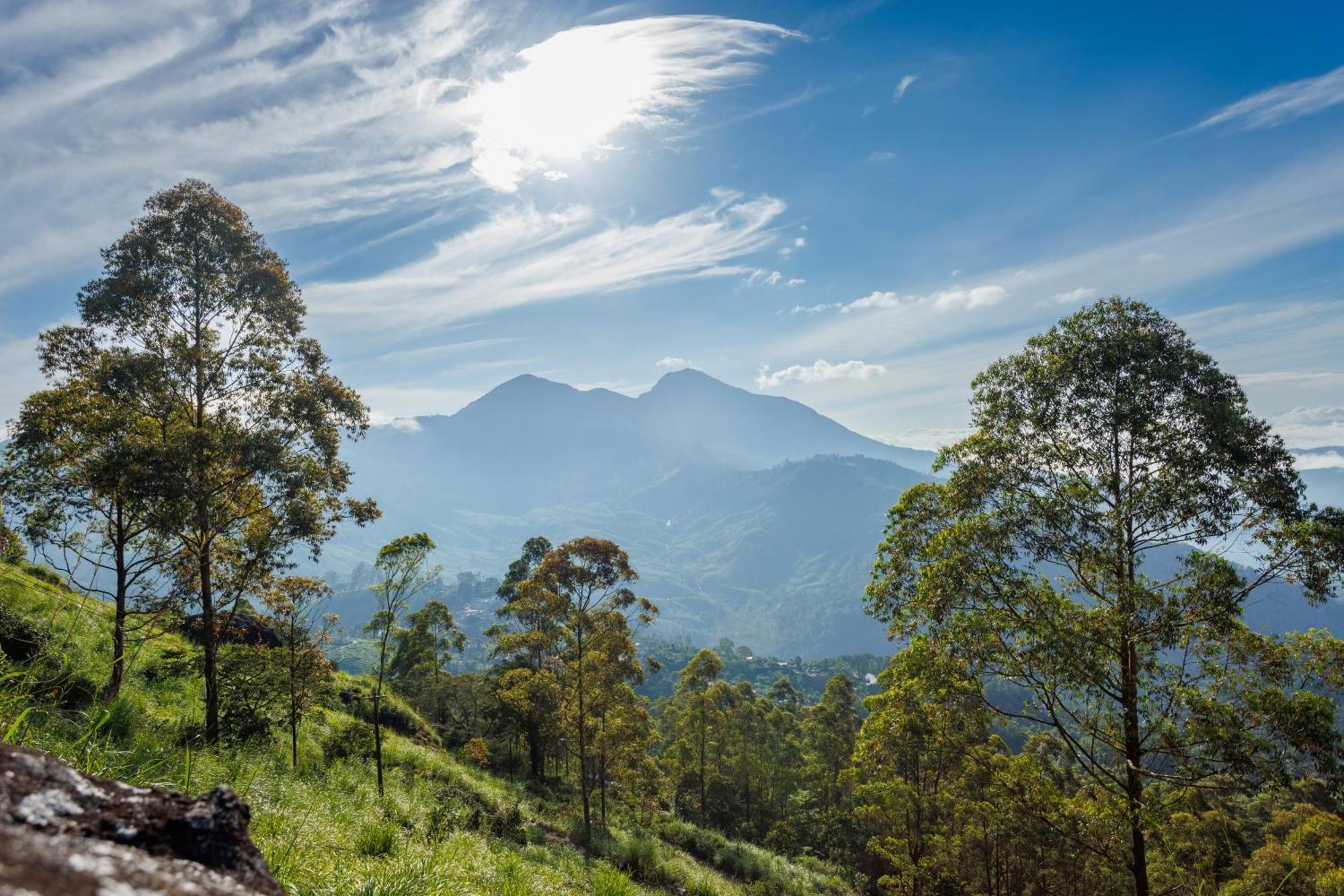 Amber Dale Luxury Hotel & Spa, Munnar Hotel