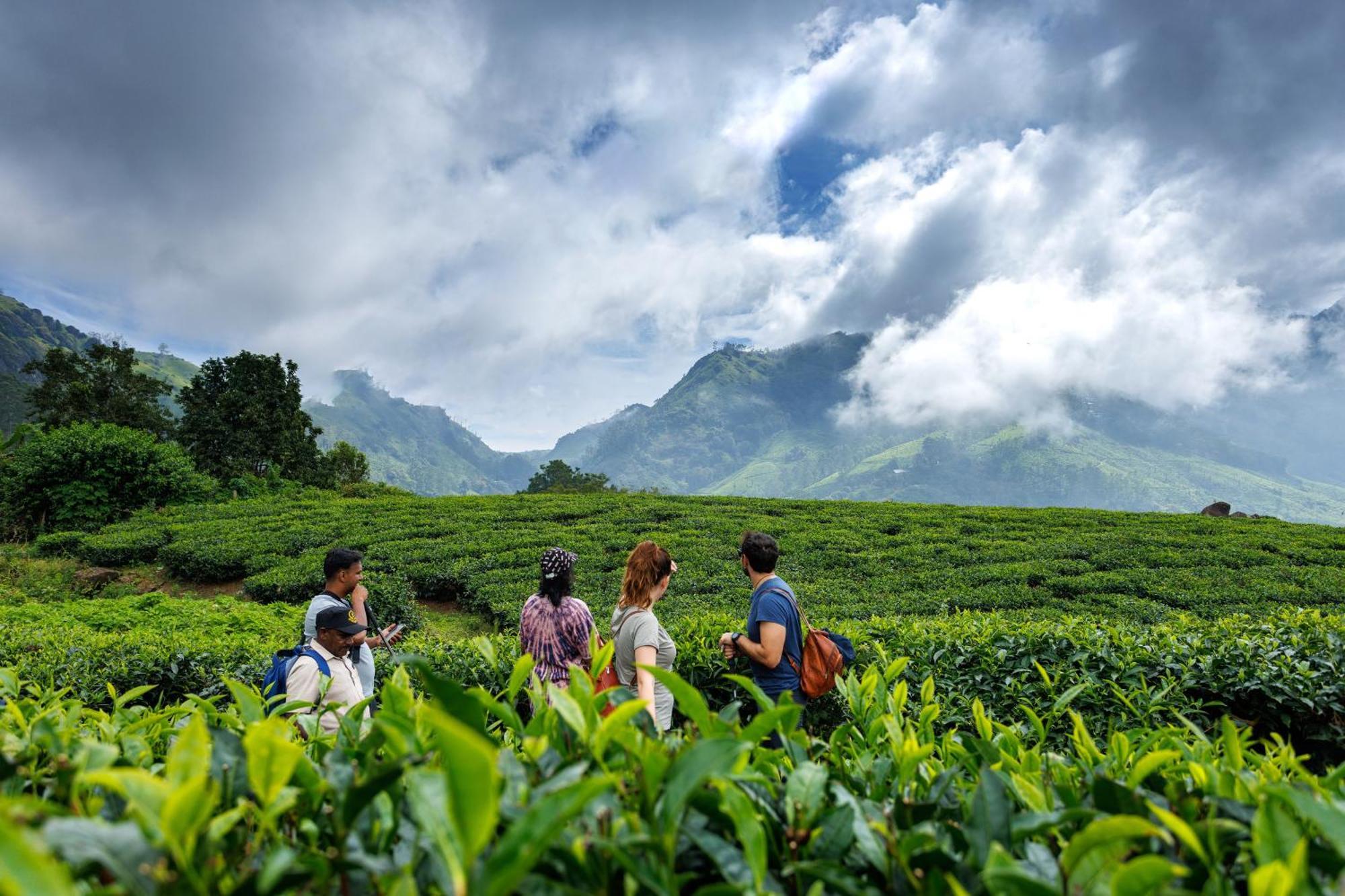 Hotel Amber Dale Luxury Hotel & Spa, Munnar