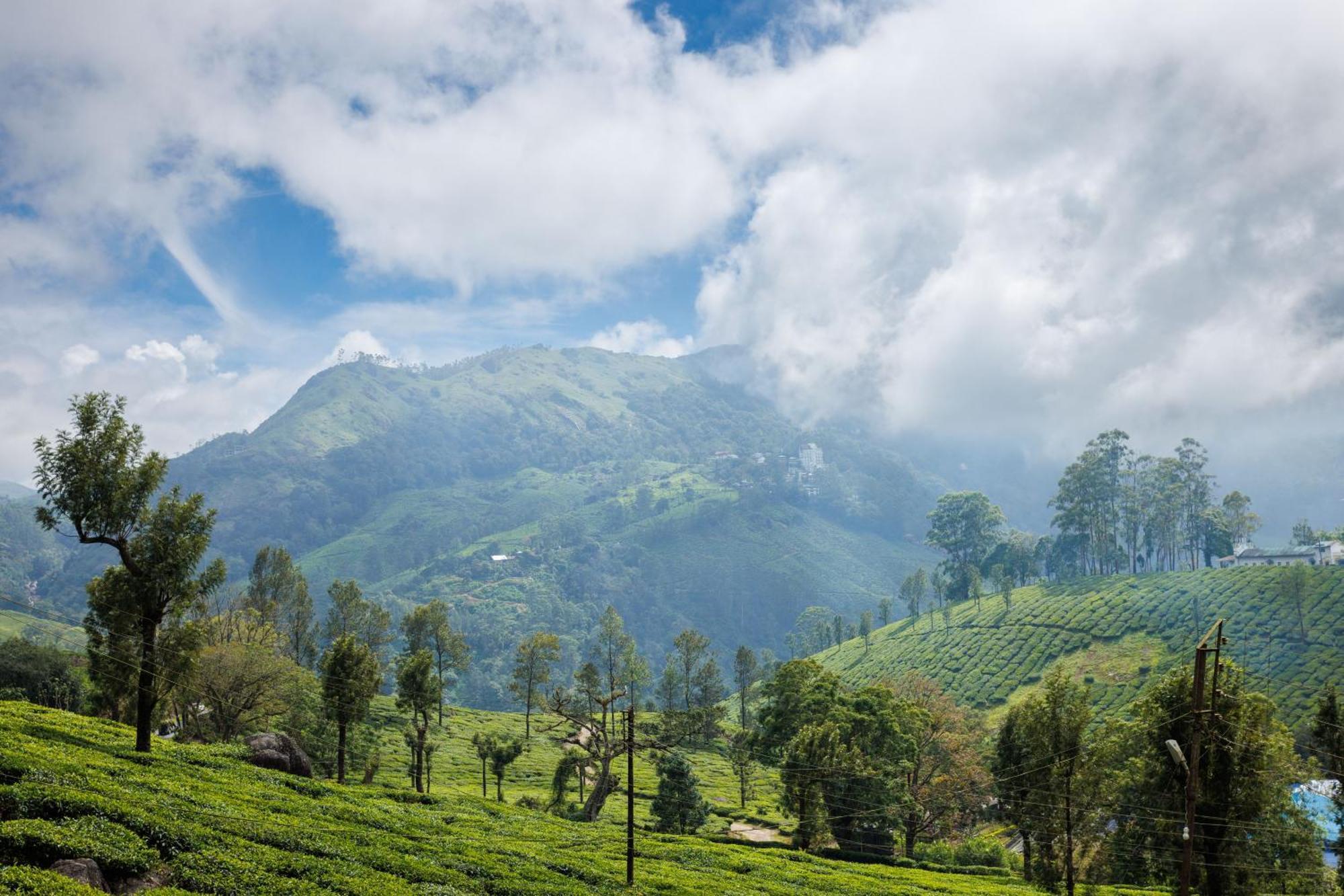 Amber Dale Luxury Hotel & Spa, Munnar 5* Munnar
