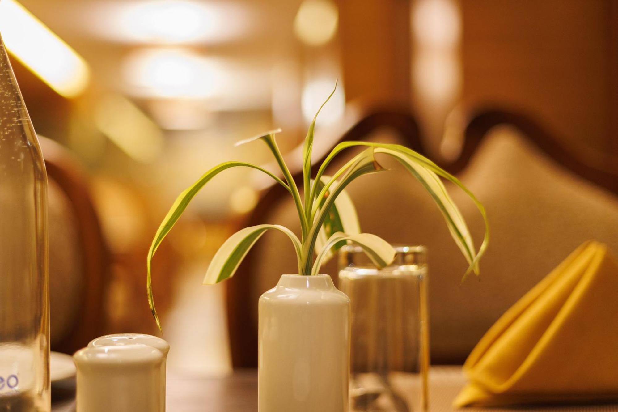 Amber Dale Luxury Hotel & Spa, Munnar Hotel