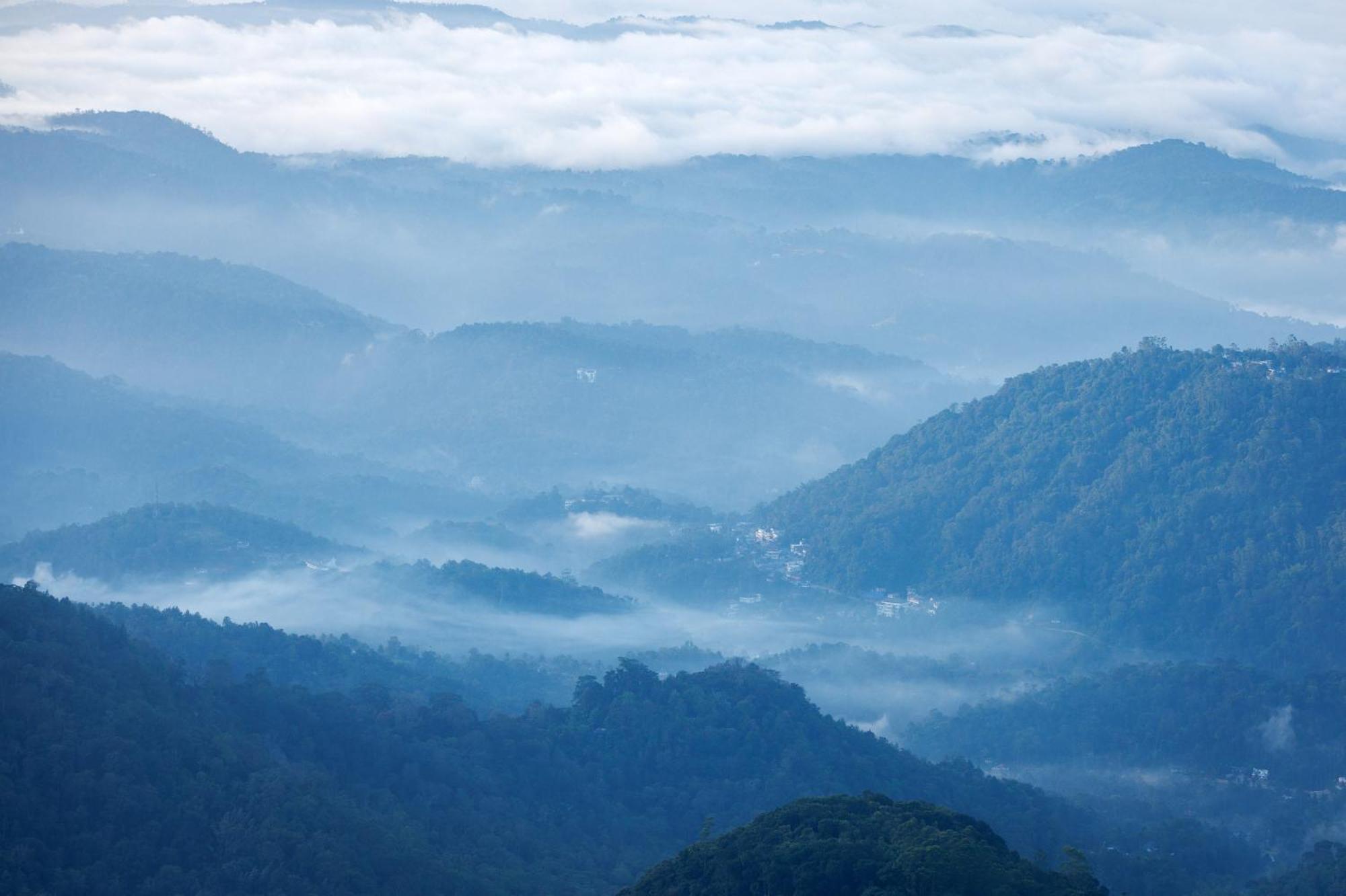 Hotel Amber Dale Luxury Hotel & Spa, Munnar Munnar