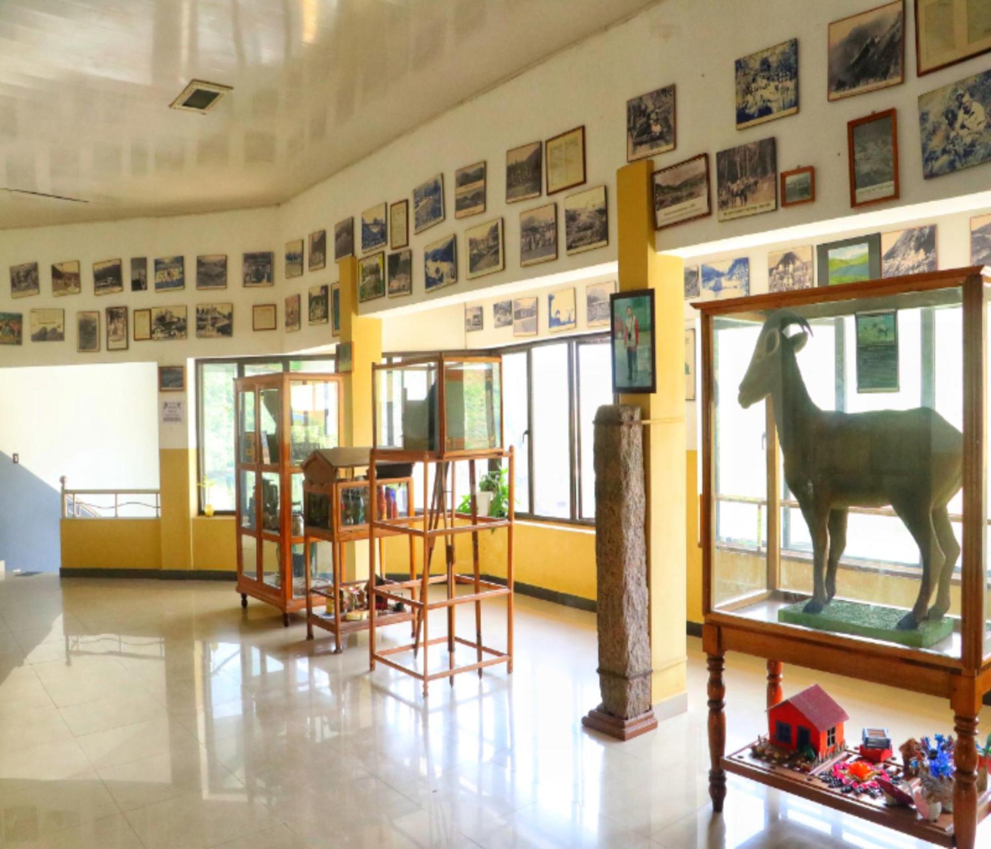 Hotel Ac Mist Munnar