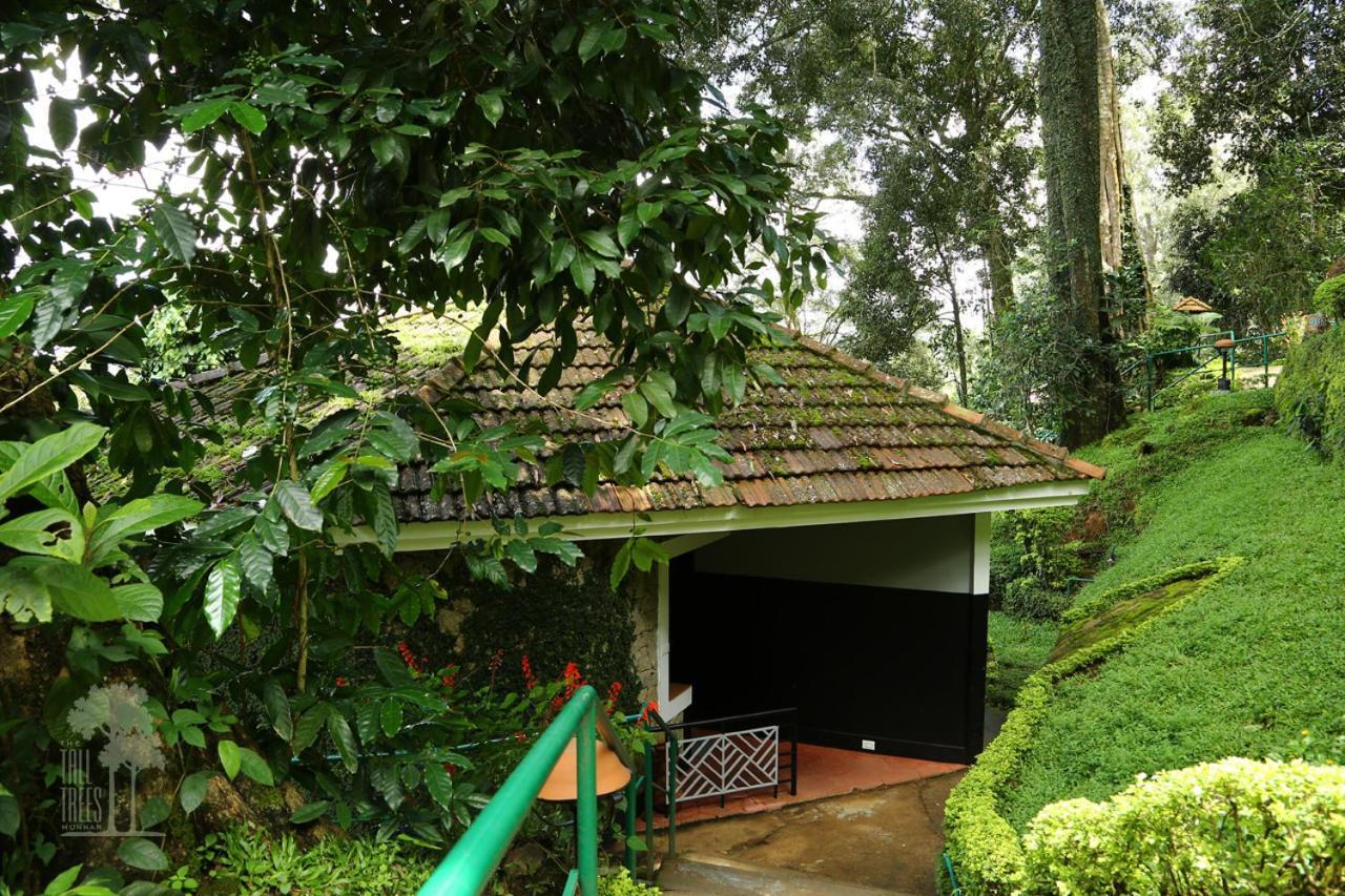 The Tall Trees Munnar