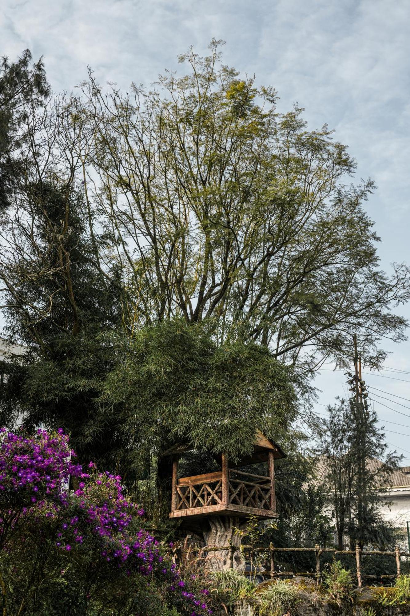 Eastend Resort Munnar