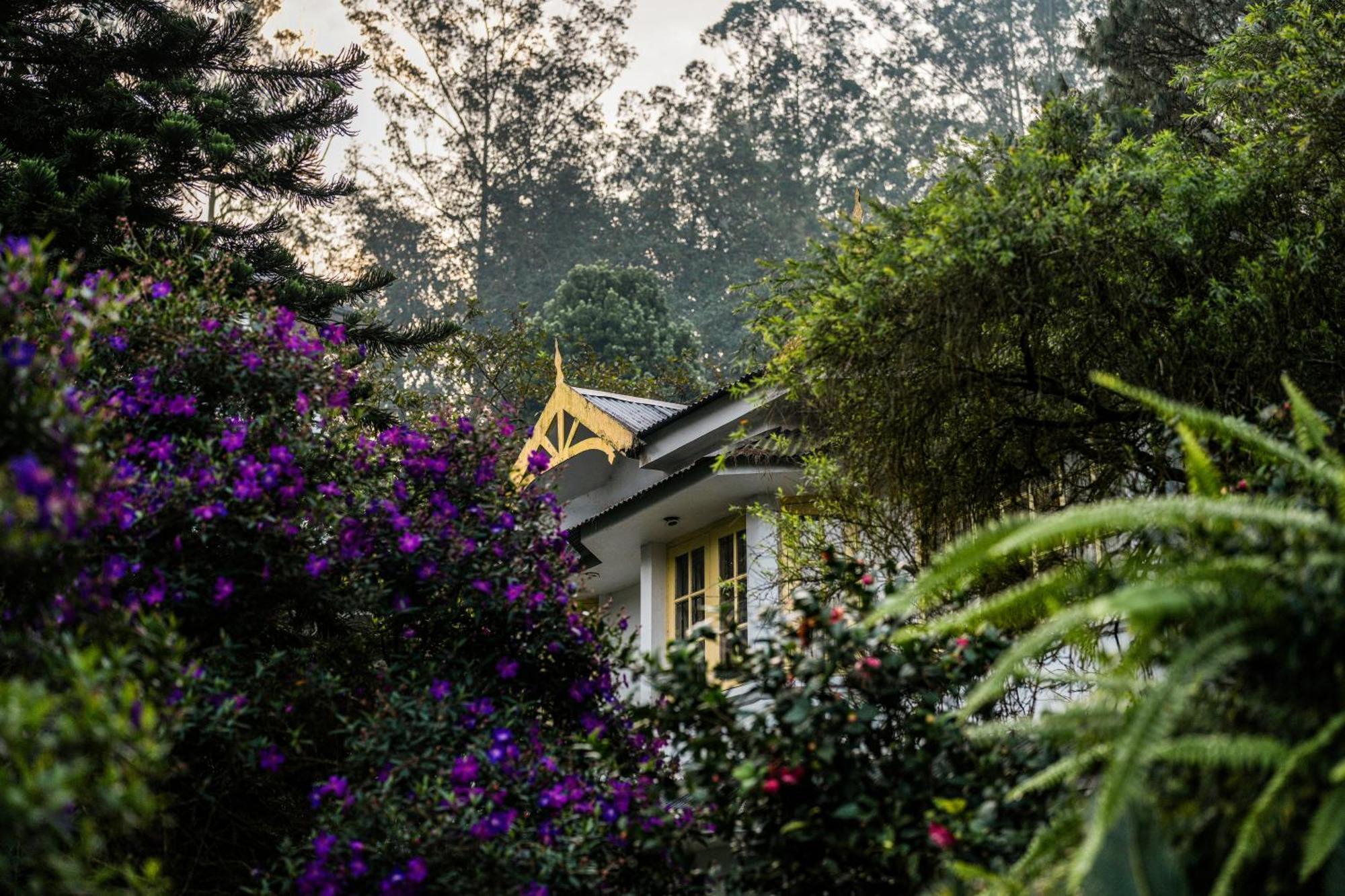 Resort Eastend Munnar