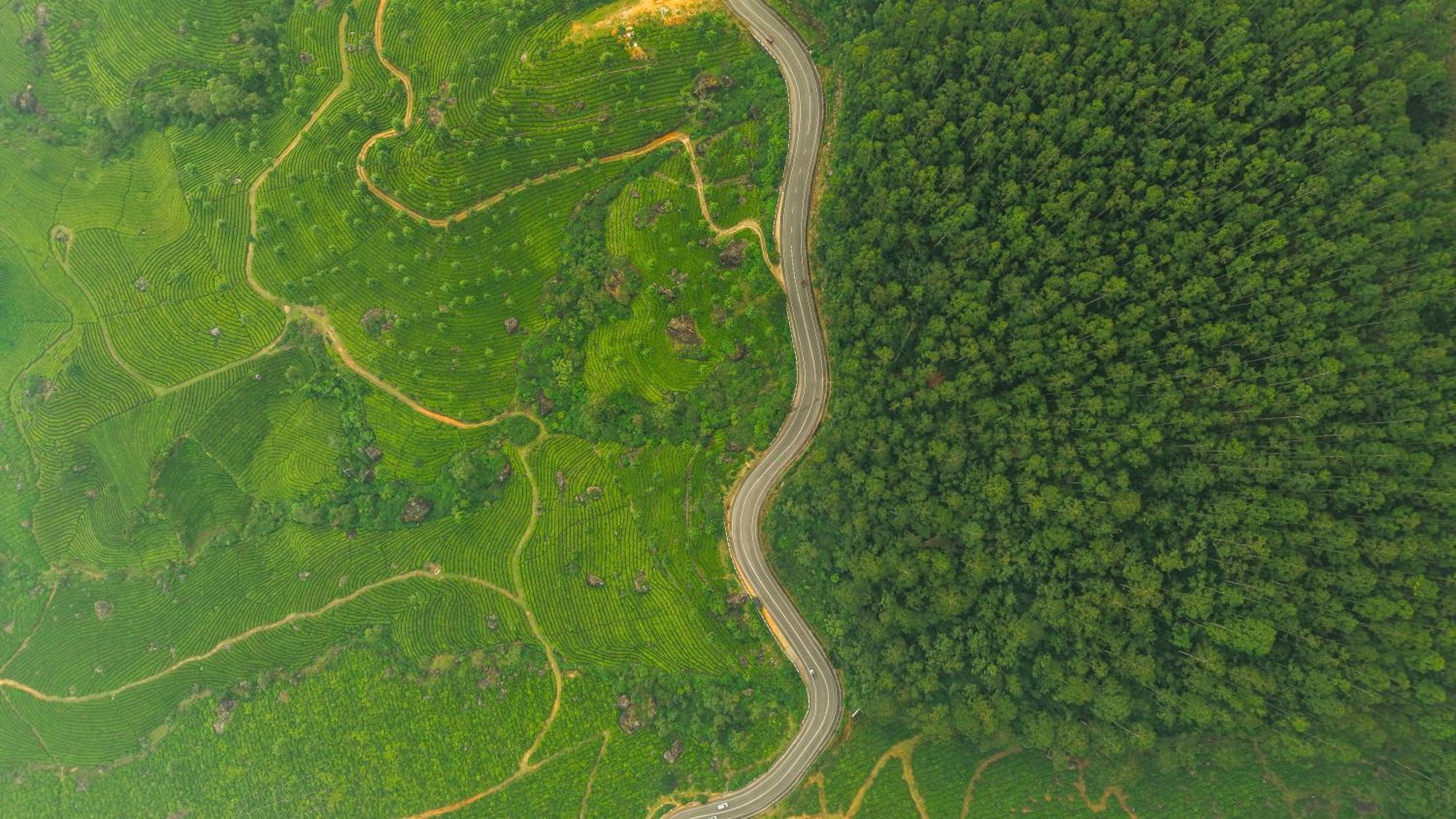 Eastend 3* Munnar