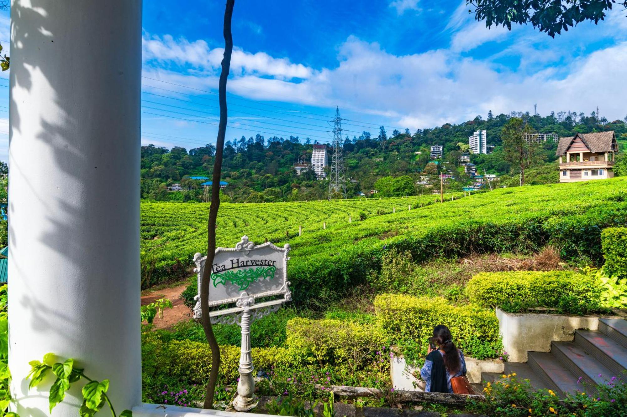 Tea Harvester 3* Munnar