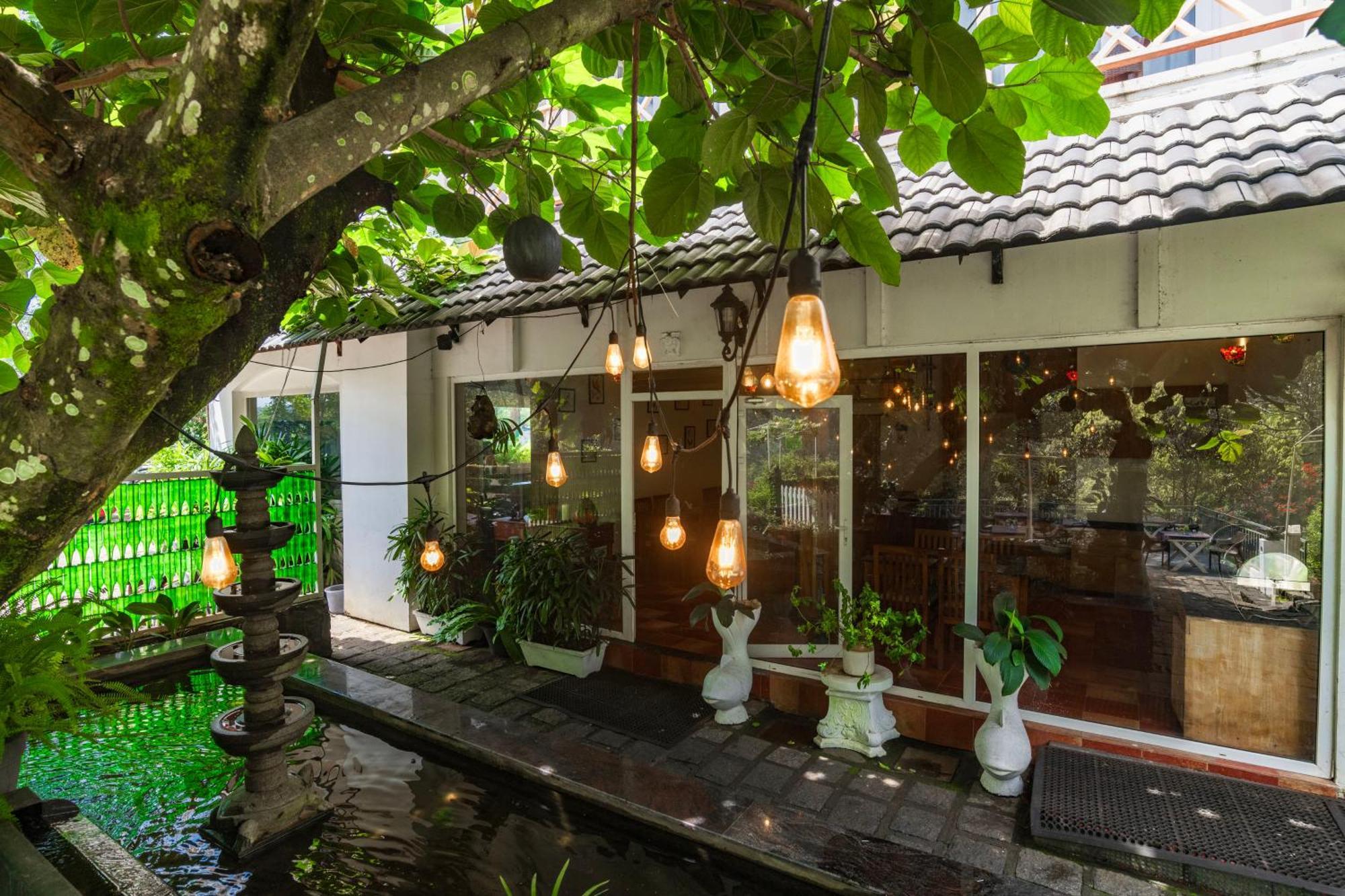 Tea Harvester Hotel 3*