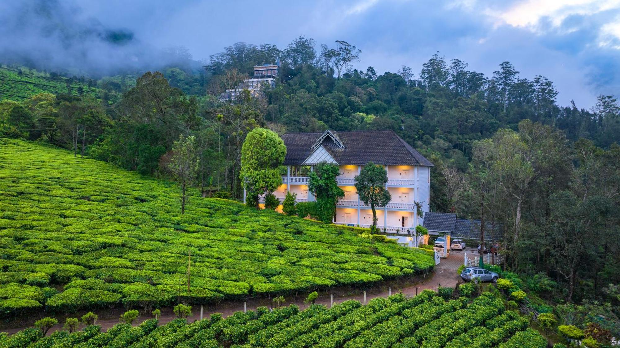 Tea Harvester 3* Munnar