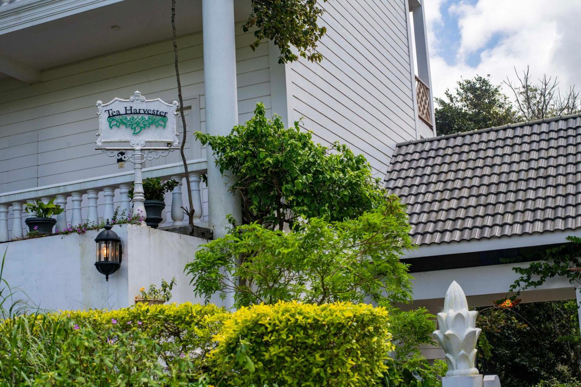 Tea Harvester Hotel 3*