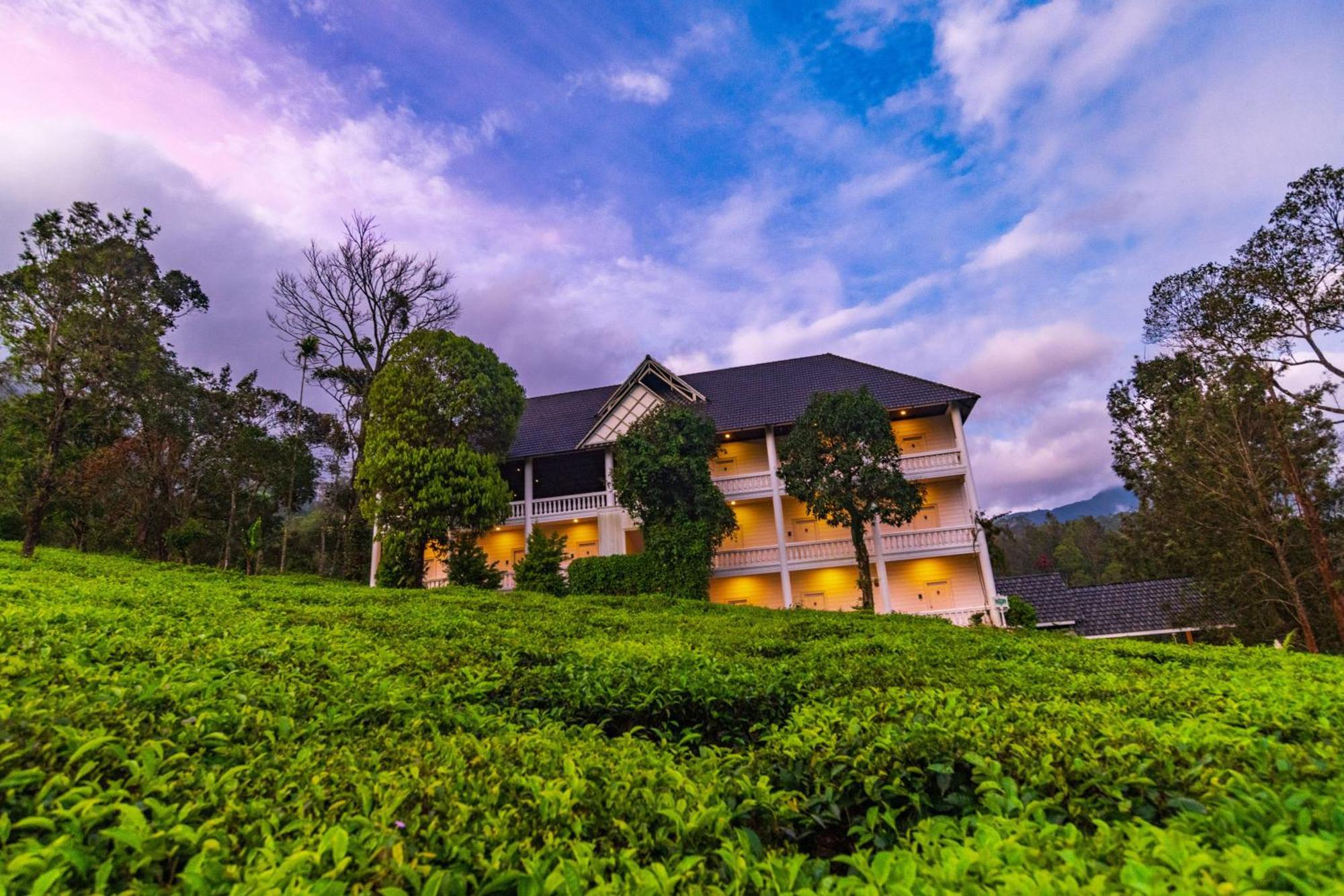 Tea Harvester 3* Munnar