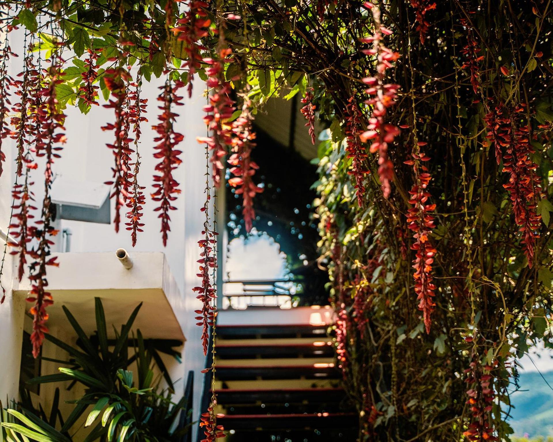 Resort The Leaf 5*