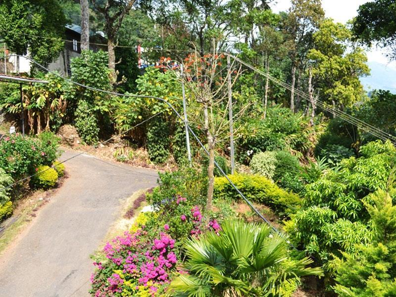 Estate Residency Guest house 3*