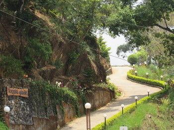 Forest Glade Hotel Munnar