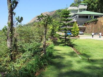 Forest Glade Munnar