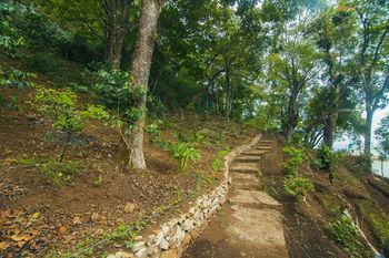 Hotel Forest Glade 4*