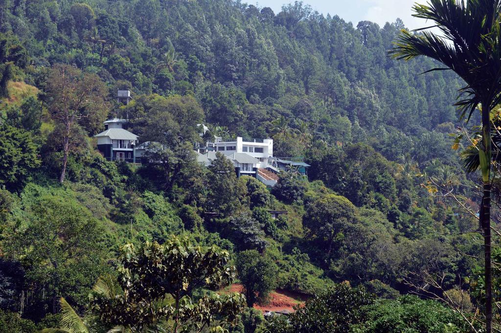 Tea Hills - Mthr 4*