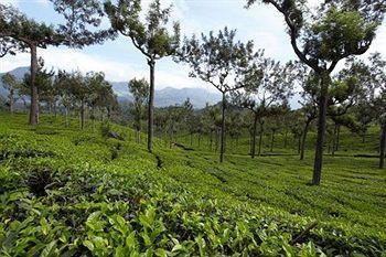Elysium Garden Resort Munnar