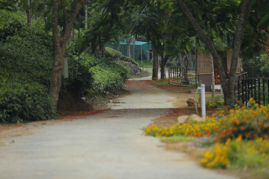 Resort Rivulet