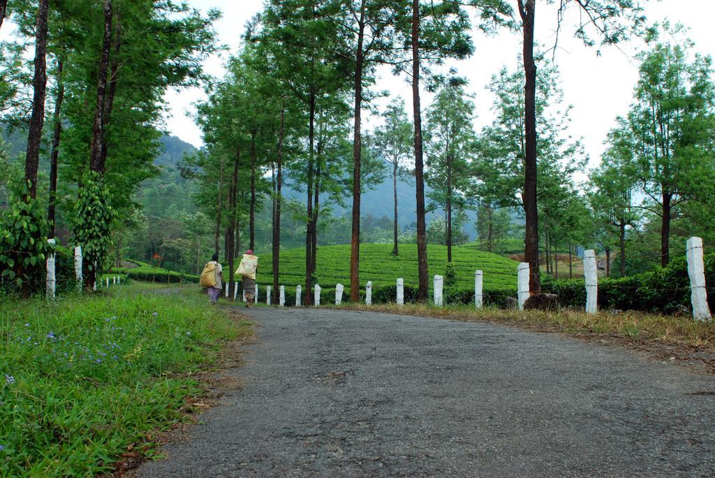 Resort Deep Woods 4*