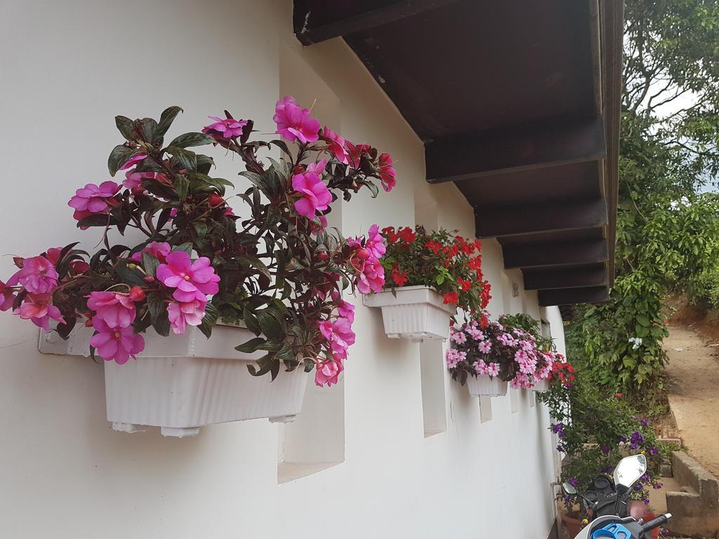 Gruenberg Tea Plantation Haus Bed & Breakfast
