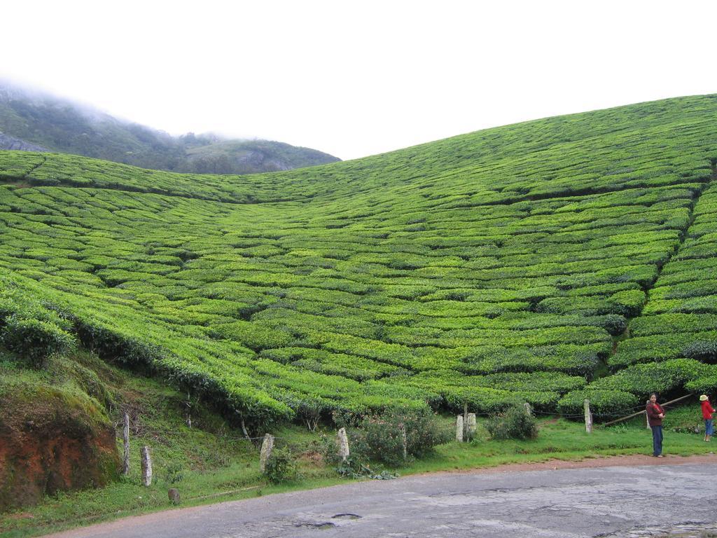 Grand Plaza Munnar