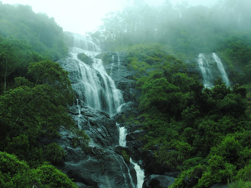 Mangalappillil Homestay