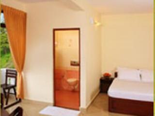 Hotel Tea Castle Munnar