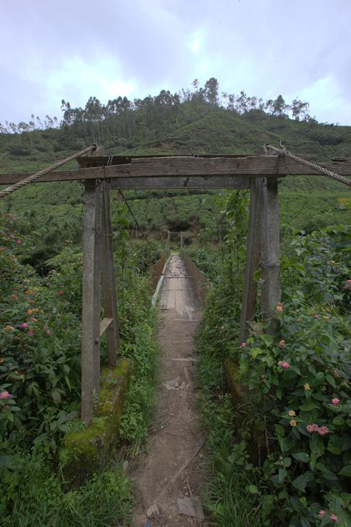 Grand Plaza 4* Munnar