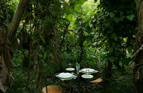 Aruvi Resort