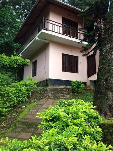 Spice Jungle Munnar