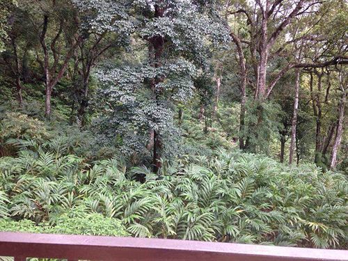 Spice Jungle Bed & Breakfast 3*