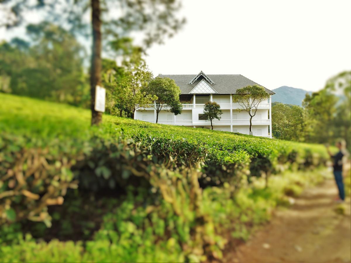 Hotel Tea Harvester