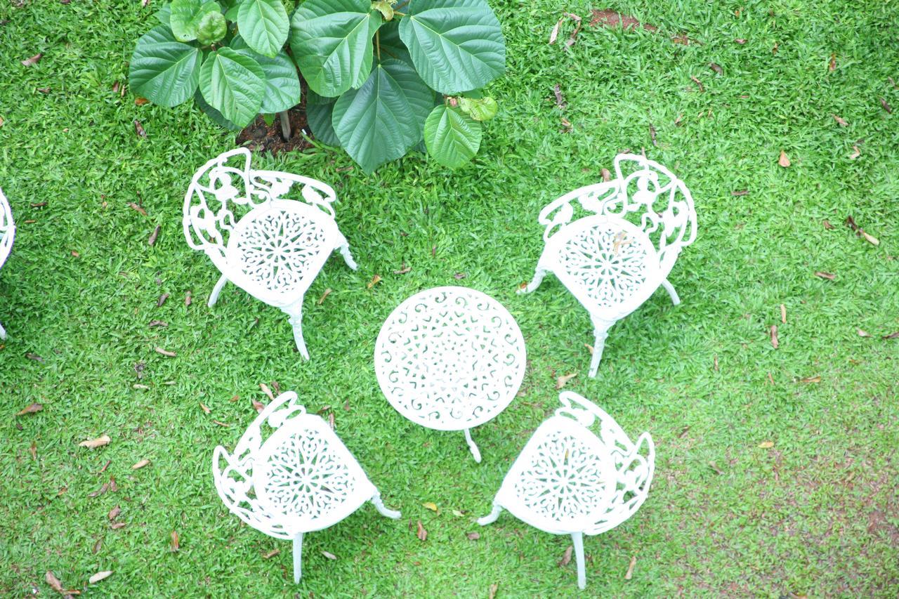 Hotel Tea Harvester