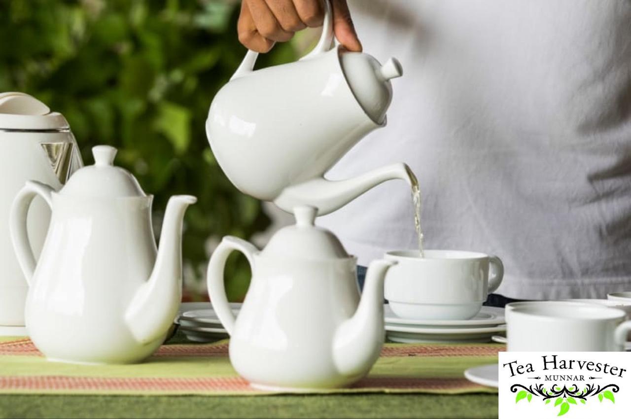 Tea Harvester Hotel Munnar