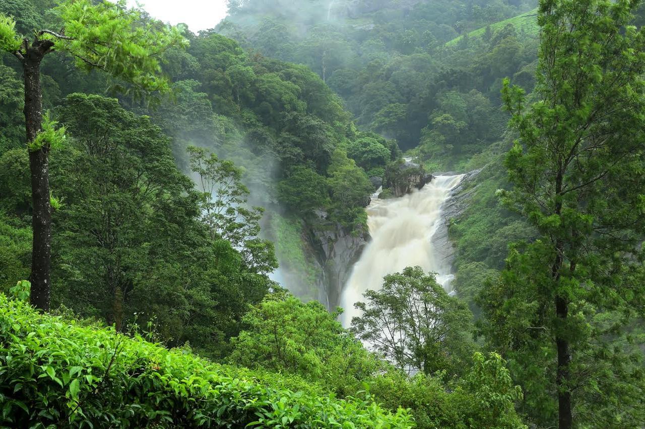 Hotel Blanket & Munnar
