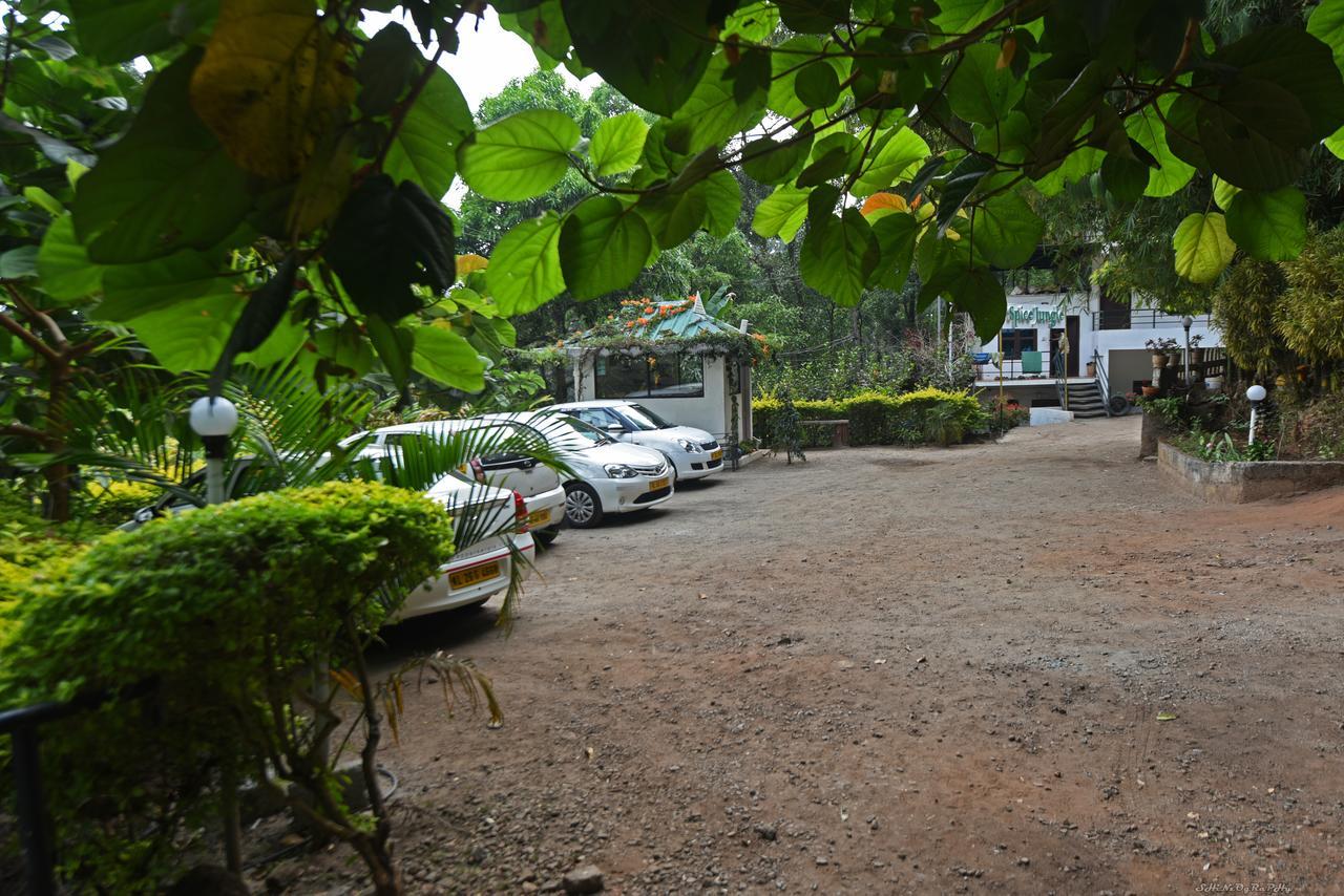 Spice Jungle Munnar