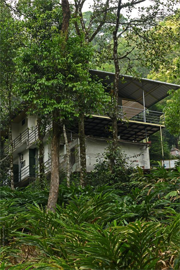 Bed & Breakfast Spice Jungle