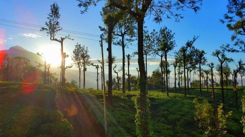 Gruenberg Tea Plantation Haus Bed & Breakfast 3*