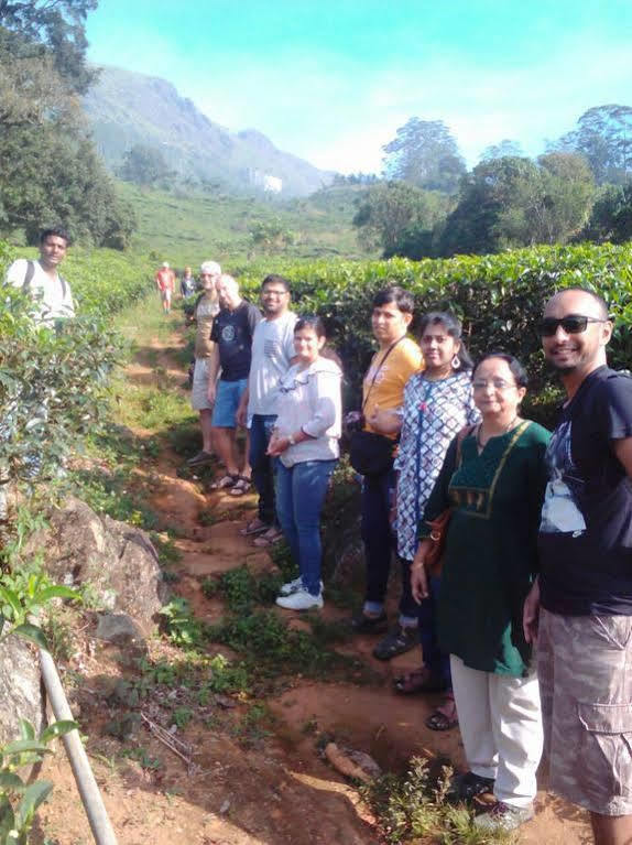Gruenberg Tea Plantation Haus Bed & Breakfast Munnar