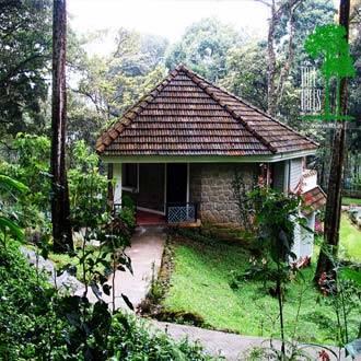 The Tall Trees Resort