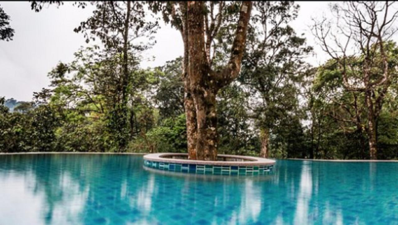 Elixir Hills And Resort 5*