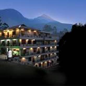 Hotel Palmas